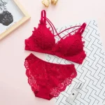 China Rose Bra Panty Set - Image 8