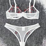 China Transparent Bra Panty Set - Image 10