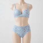 Hello Kitty Bra Panty Set