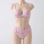 Hello Kitty Bra Panty Set - Image 4