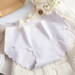 Japanese Style Seamless Ice Silk Panty - Image 8