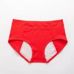 Leak Proof Menstrual Period Panty - Image 6